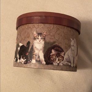 Super cute Cat Jewelry box